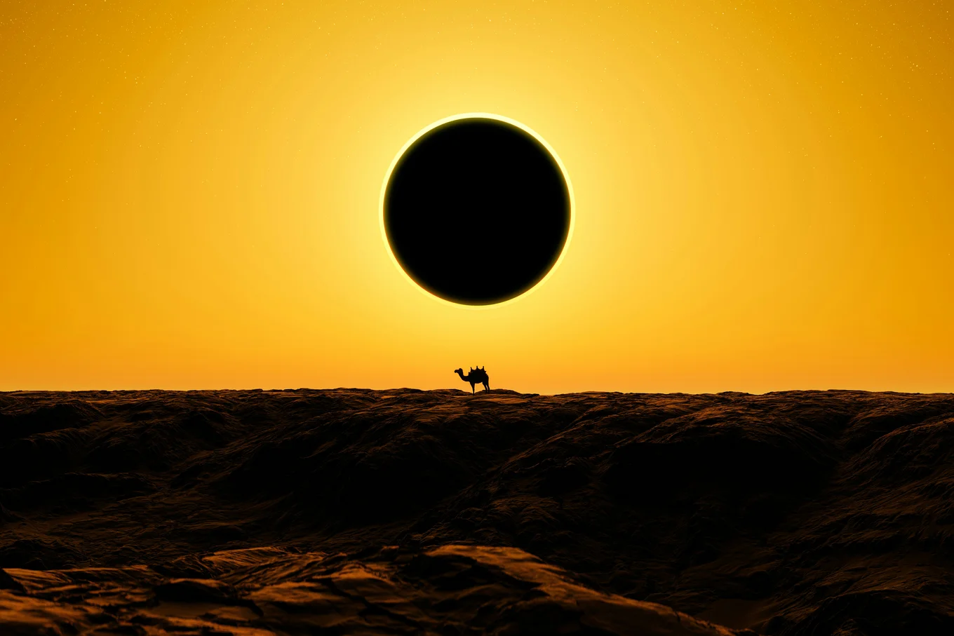 Silhouette of camel, solar eclipse, desert landscape.