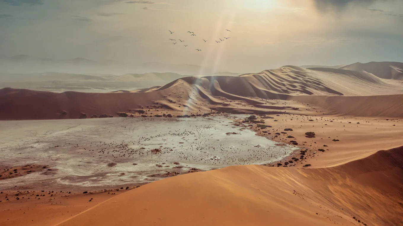 Desert landscape, sand dunes, dry lake bed, birds.
