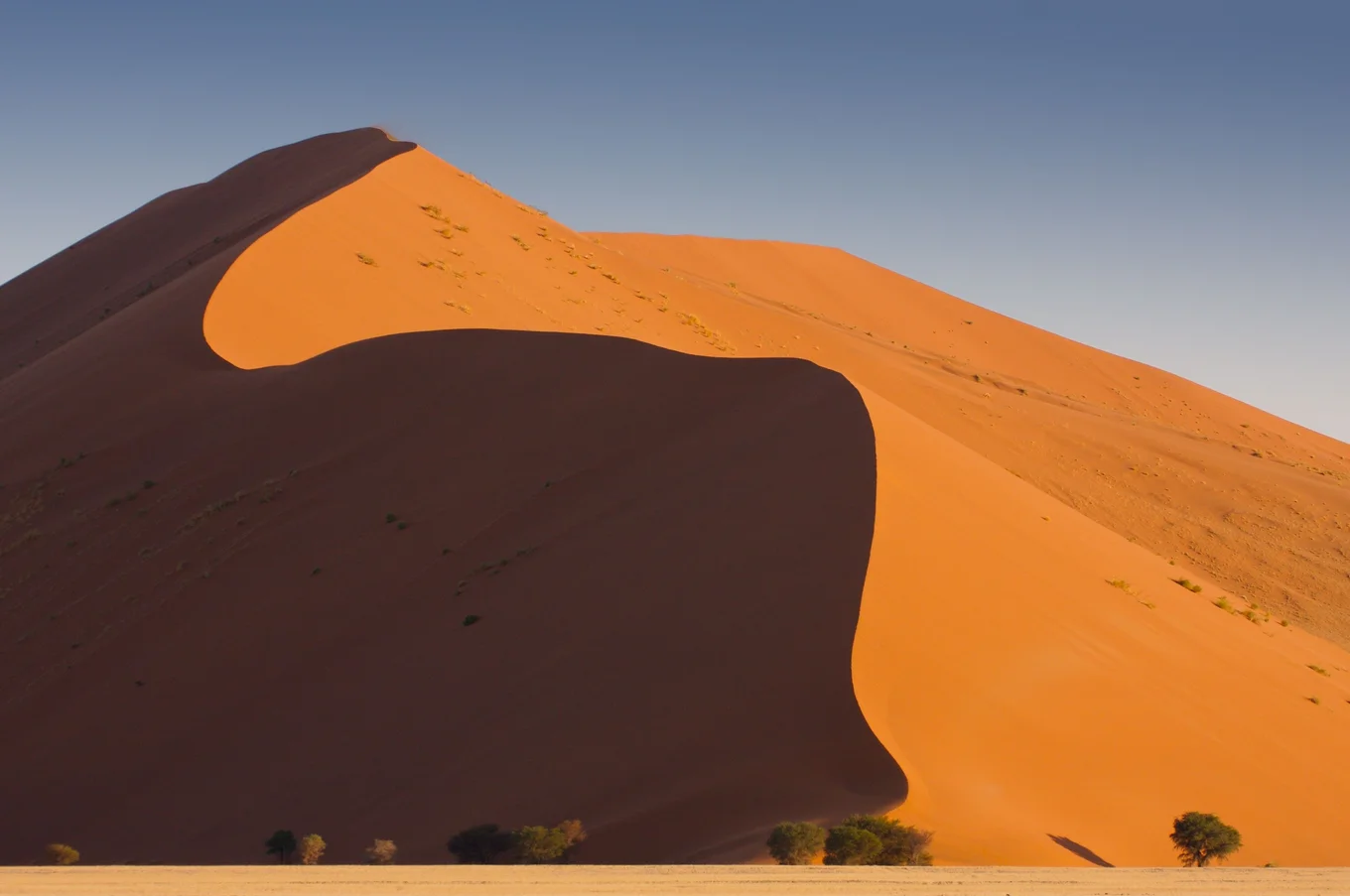 Large orange sand dune, clear sky, trees below.